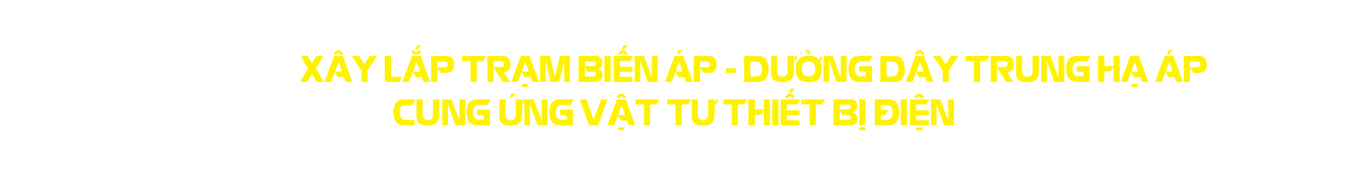 spot_img